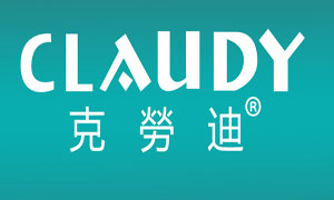 2017年國(guó)內(nèi)最具消費(fèi)者口碑的感應(yīng)衛(wèi)浴潔具十大品牌