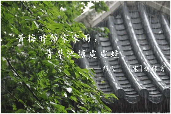 蒙蒂尼不銹鋼櫥柜，讓廚房告別梅雨季