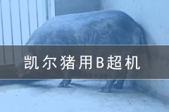 獸用b超機(jī)會(huì)給養(yǎng)豬場(chǎng)帶來(lái)哪些效益？
